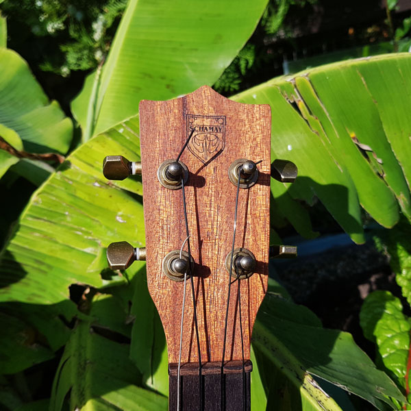 tenor box ukulele